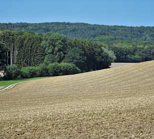 Der Nothelferweg durch die Juraebene