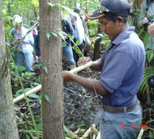 Unterwegs in Venezuela