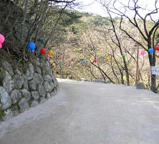 The way to Seokguram Temple