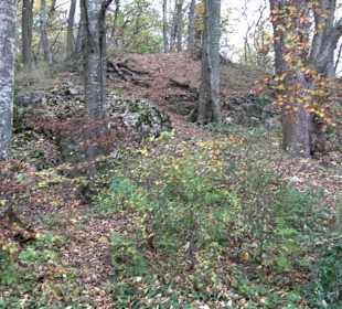 Wandern um die Rauber Ruine