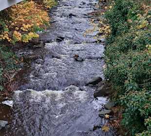Wandern Bad Harzburg