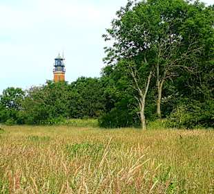 Apollo Tagestour zur Greifswalder Oie 