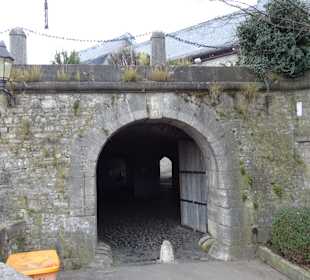 Mainpromenade Würzburg