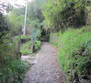 Beim Grottone del 1400