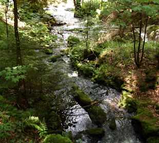 Blick in die Schlucht