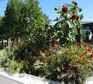 Gartenschau Eppingen