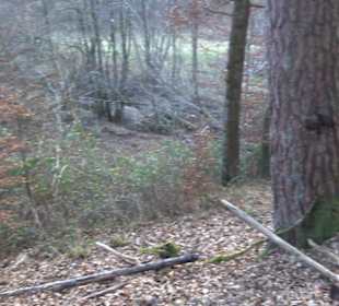 Schönbuch Schaichtal