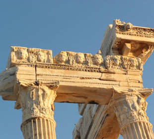 Nur wer genau hinschaut entdeckt die Köpfe