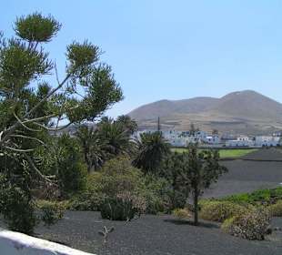 Lanzarote - Jardín de Cactus