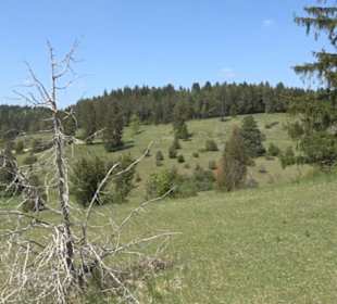Premiumwanderweg Hochgehschätzt