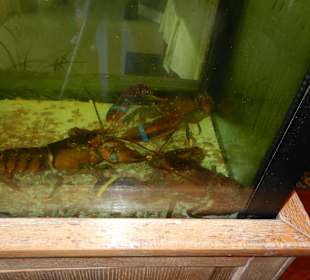 Ristorante Soleiado Rimini ristorante restaurant