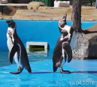 Discovery Park Manavgat