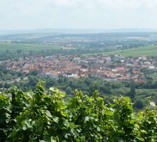 Blick von den Escherndorf Weinbergen nach Nordheim