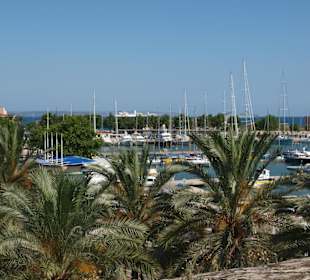 Hafen von Palma