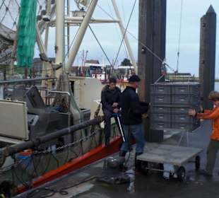 Der Hafen von Fedderwardersiel