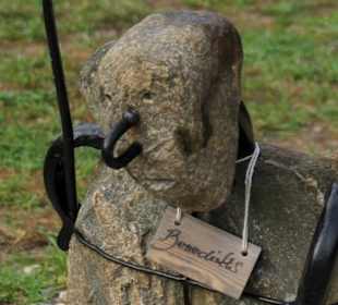 Benedikts, Mitglied der Bruninieku Parade