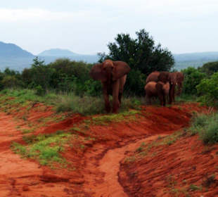 Besser stehen bleiben