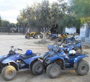 Quad fahren