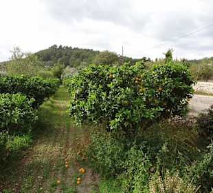 Neben der Bushaltestelle