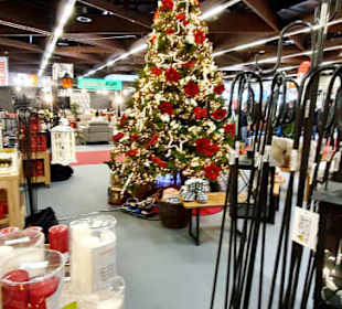 Christbäume
