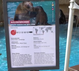 Zoo Heidelberg