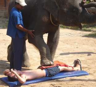 Thai-Massage vom Elefanten