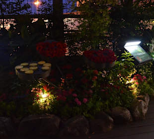 Flughafen Singapur Changi (SIN)