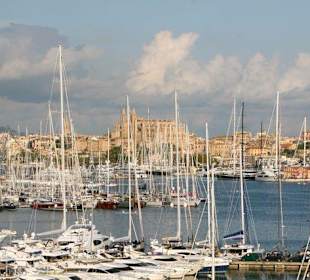 View from my room, nice!