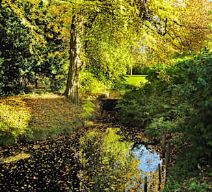 Парк Замка Ойтин.Золотая осень.