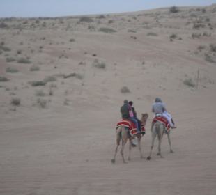 Wüstensafari