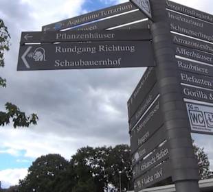 Vogelfreifluggelände