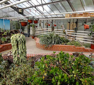 Das Sukkulentenhaus im Botanischen Garten