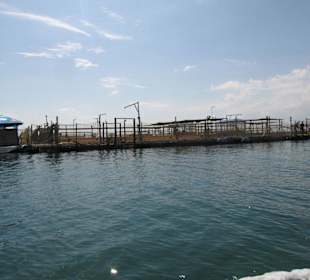 Die Delfinanlage der Dolphin Lode