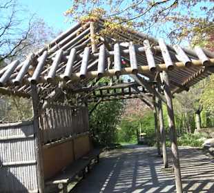 Japangarten Stuttgart