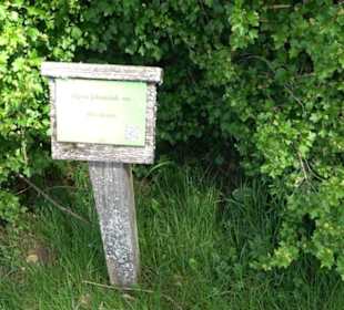 Strauchlehrpfad