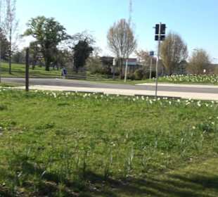 Panorama Therme Beuren
