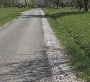 Wanderweg Firstwaldrunde