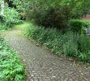 Baumlehrpfad Glacis Park