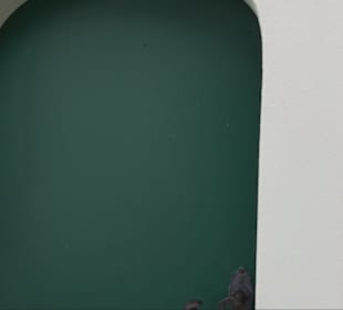 Katholische Filialkirche St. Pankratius Mitterfisc