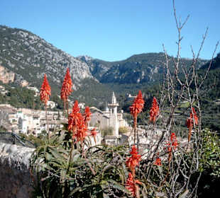 Valldemossa