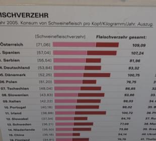 SchweineMuseum