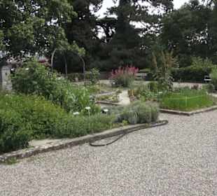Alter botanischer Garten