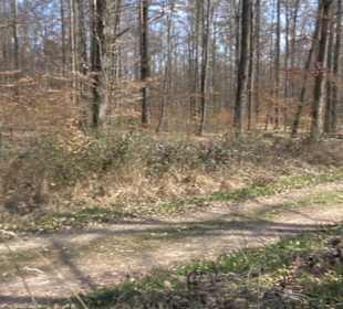 Geologischer Lehrpfad Kirnbachtal