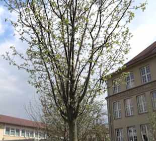 Bürgerpark Herrschaftsgärten
