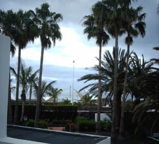 Ausblick vom Balkon