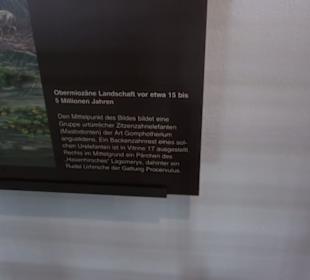 Jura-Museum