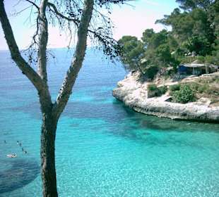 Cala Mitjana
