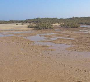 Fahrradausflug in die Wüste