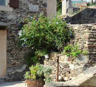 Impressionen aus der Altstadt von Collioure