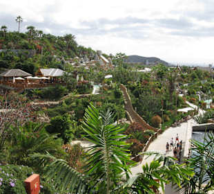 Blick über den sehr grünen Park